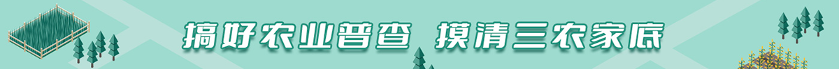 第四次全国农业普查
